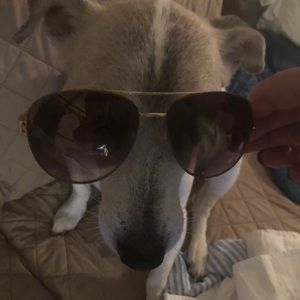 Meet your Posher, Resa